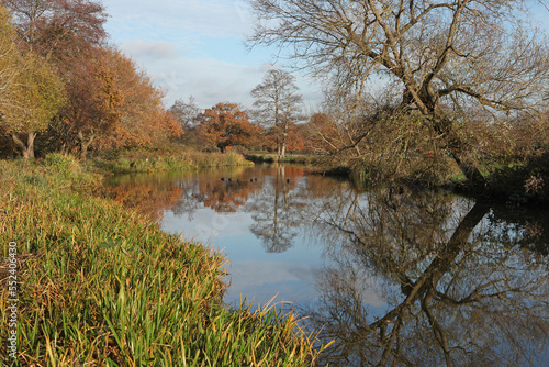 Winter reflections on the River Wey in Guildford on a cold sunny day.