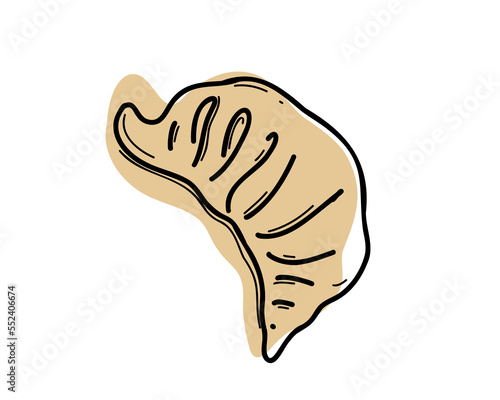 Jiaozi. Dumplings of Chinese, Japanese and Korean cuisine. Wontons, Gyoza, Baozi, Dim-sama, Gyoza or Kyoza. Doodle. Hand drawn. 
doodle vector illustration