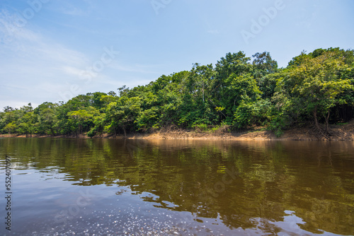 Beautiful landscape of the Amazon Rainforest - Amazonas  Brazil