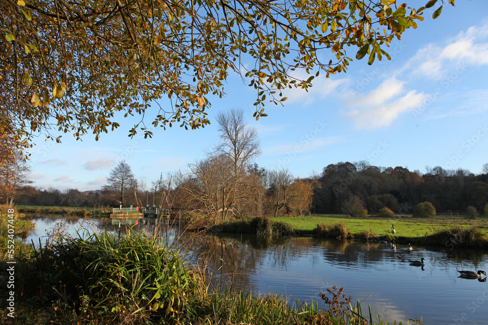 Obraz premium Winter reflections on the River Wey in Guildford on a cold sunny day.