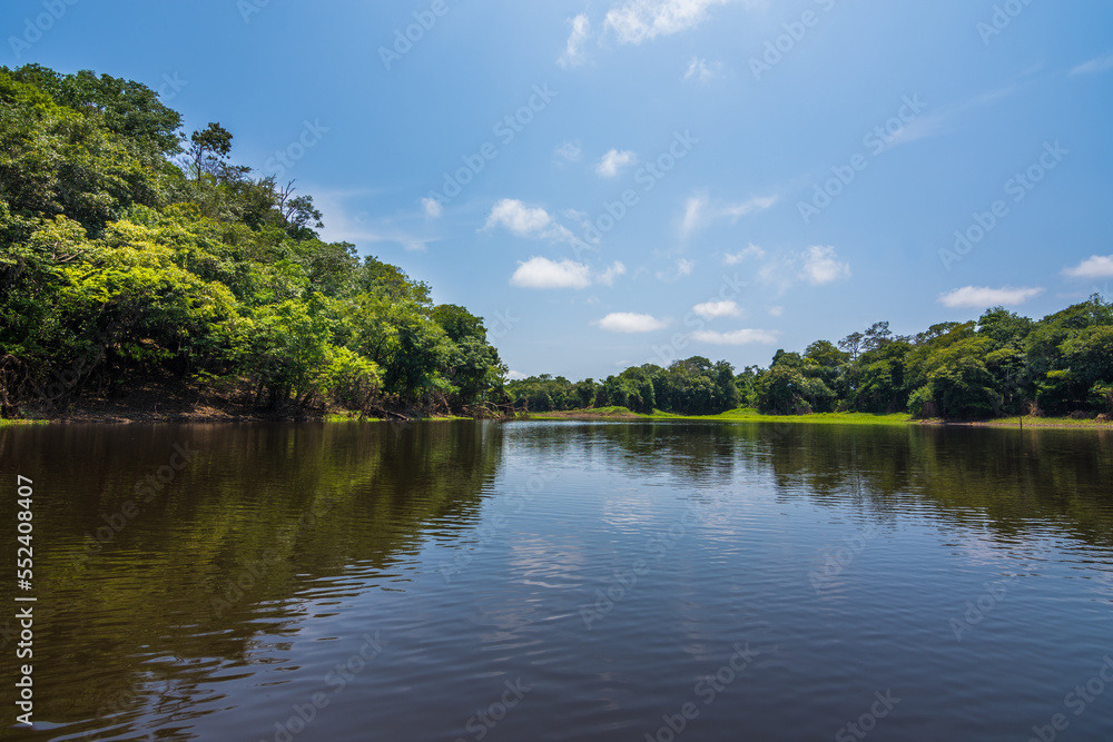 Beautiful landscape of the Amazon Rainforest - Amazonas, Brazil