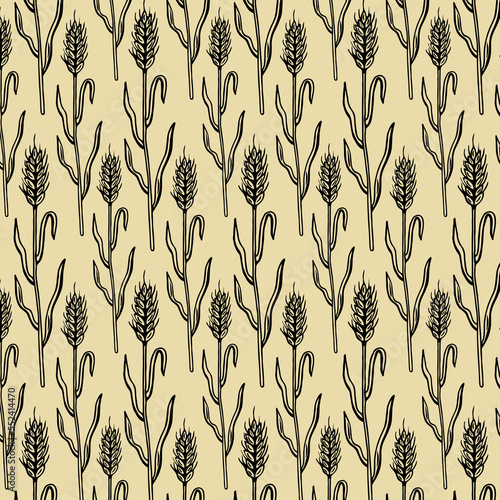 Seamless pattern with wheat isolated on white background