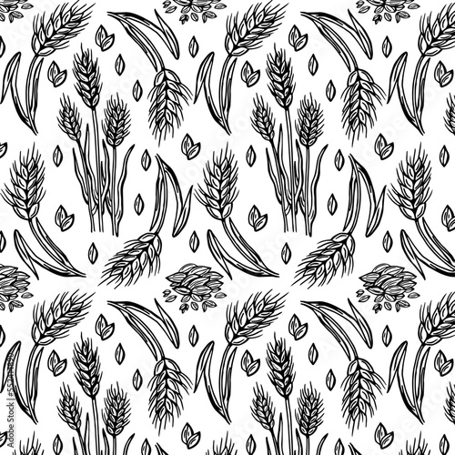 Seamless pattern with wheat isolated on white background