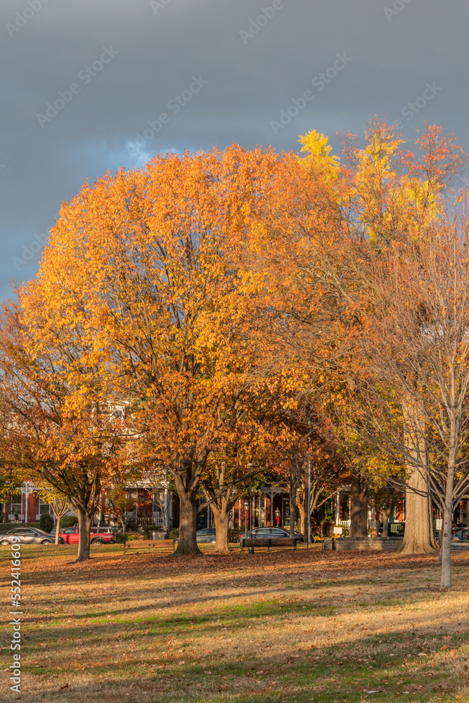 Stormy Autumn Colors, Richmond Virginia USA, Richmond, Virginia