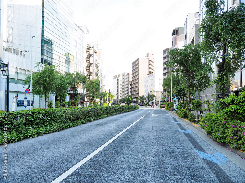 
東京都心の道路風景。
