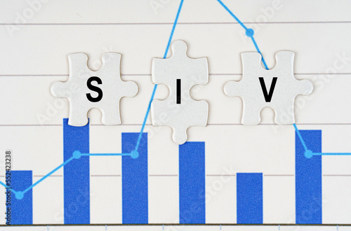 On business reports - diagrams are puzzles with the inscription - SIV photo