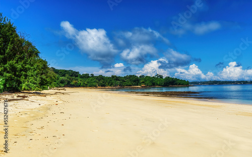 Fototapeta Naklejka Na Ścianę i Meble -  Trees on tropical beach under blue sky.