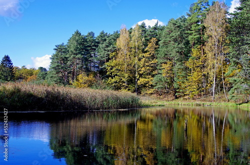 lake in the forest