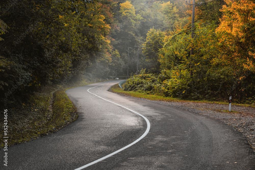 Paved road in the autumn forest. A country road in autumn in the forest. A road with fallen leaves in the autumn forest. Yellow and orange leaves on trees in the morning forest.
