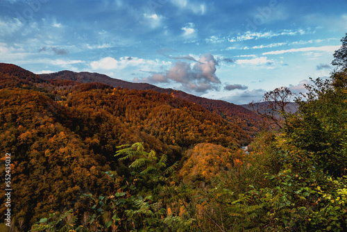 High mountains under a blue cloudy sky. Autumn view of the mountains. Mountain autumn landscape with colorful forest. Trees with bright yellow-red foliage on the rocks. Nature in the autumn forest. 