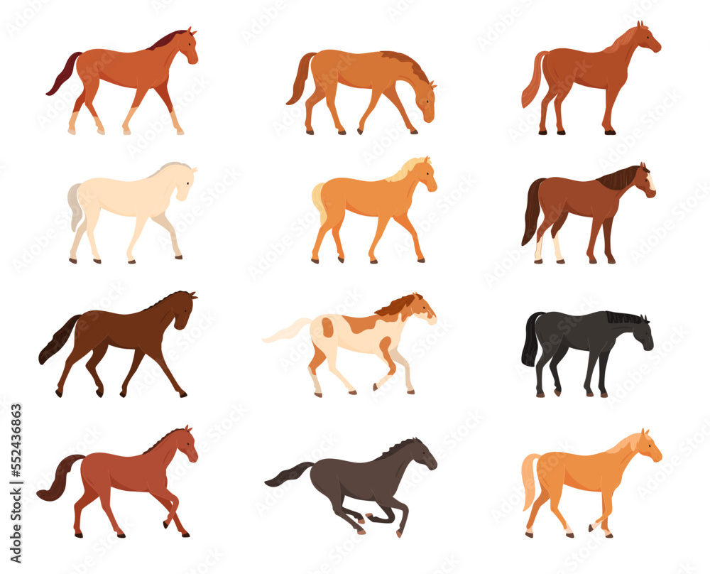 Domesticated horses. Animals for work, walks, competitions. Horse racing. Vector illustration Domesticated horses. Animals for work, walks, competitions. Horse racing. Vector illustration