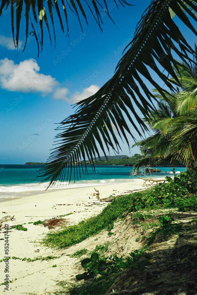 Fototapeta premium Playa Rincon beach Dominican republic