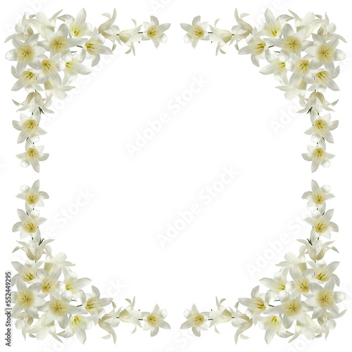 wreath of flowers and leaves of white tulips, isolated