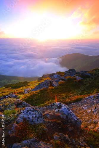 scenic summer dawn floral image, amazing mountains landscape with blooming flowers at morning sunrise © Rushvol