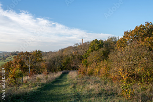 Landscape photo of the autumn colours around the   Admiral Hood Monument in Somerset