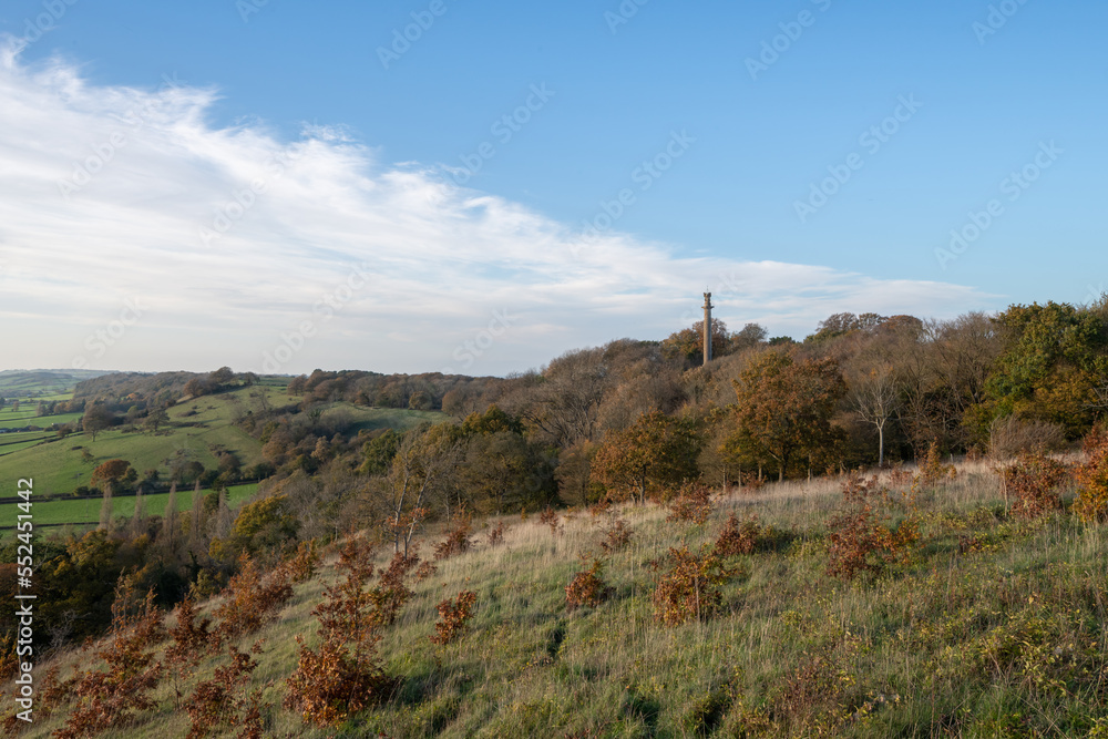 Landscape photo of the autumn colours around the 
 Admiral Hood Monument in Somerset