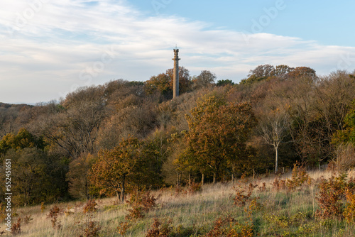 Landscape photo of the autumn colours around the Admiral Hood Monument in Somerset