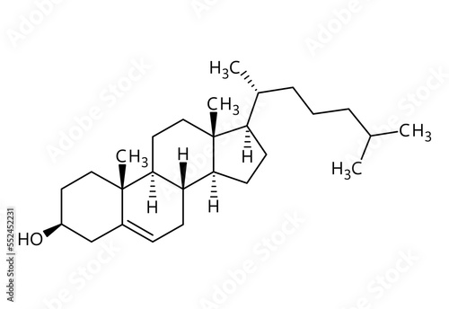 Cholesterol molecular structure. Cholesterol is a lipid and essential structural component of animal cell membranes. Vector structural formula of chemical compound with red bonds and black atom labels