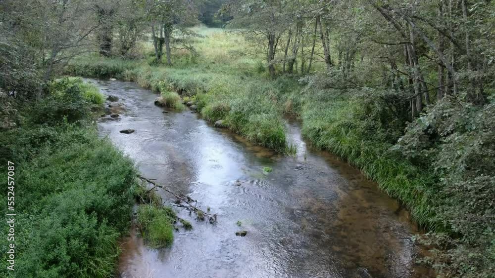 River flowing in deep old forest. Nordic nature in summer. Piusa river in Estonia. River flowing in deep old forest. Nordic nature in summer. Piusa river in Estonia.