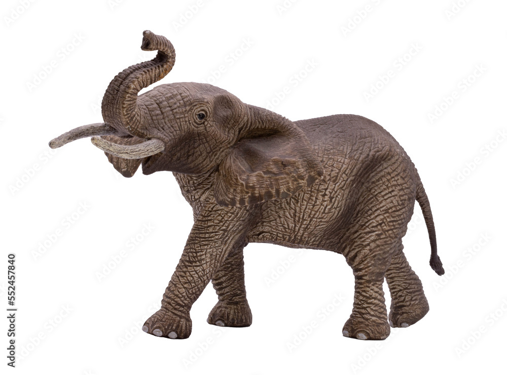 Obraz premium elephant isolated on white png