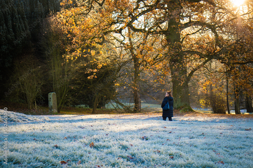 walk in the park walk in the park