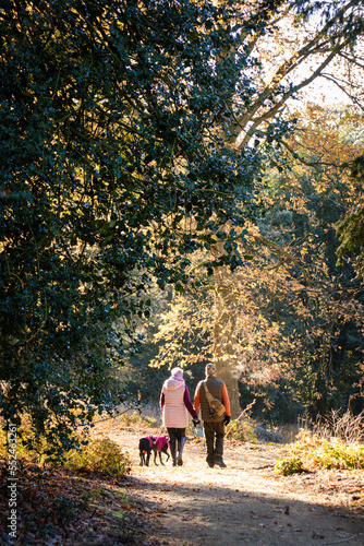 Couple walk in the woods