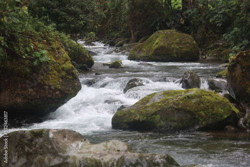 Fototapeta Naklejka Na Ścianę i Meble -  a waterfall surrounded by tropical forest