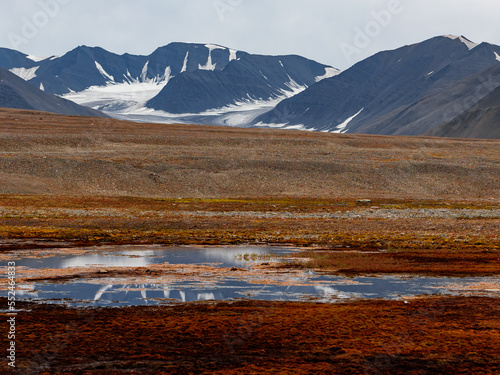 landscape in winter