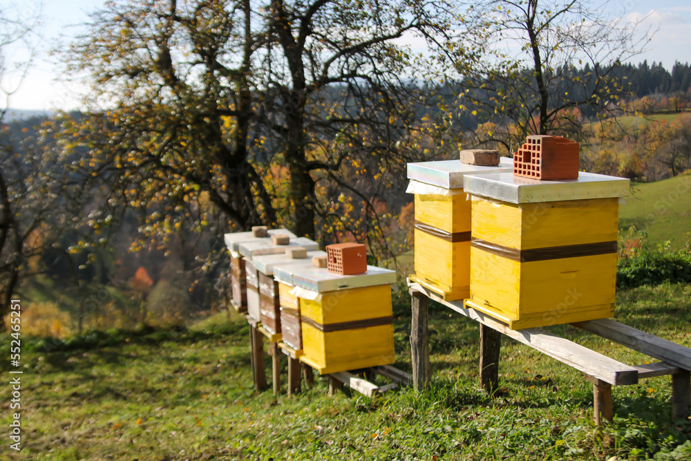Close up of flying bees. Wooden beehive and bees.
Close up of flying bees. Wooden beehive and bees.