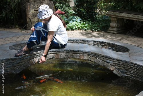 A woman in the Japanese botanical garden sitting on a stone path by the pond feeds fish