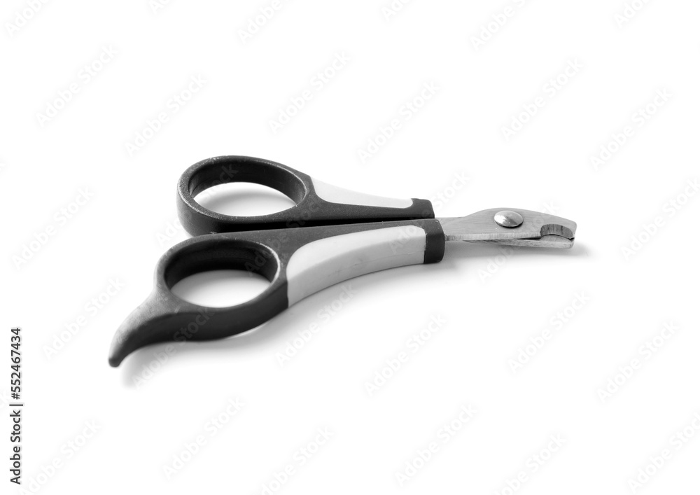 Isolated on white nail clipper for pet Isolated on white nail clipper for pet