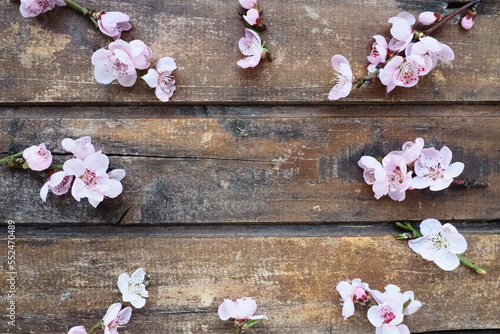 Pink flowers of apple tree or peach tree on wooden boards. Delicate inflorescences arranged in circle. Soft focus. Spring theme, holidays, spa, beauty, home interior. Copy space flat lay. Still life