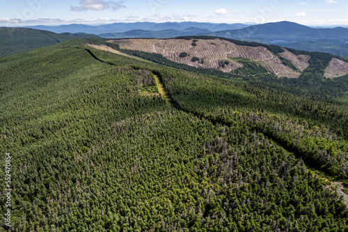 Εκτύπωση καμβά Aerial view of logging clearcut along USA Canada border, Maine