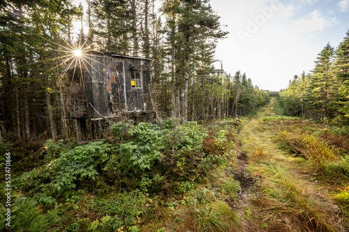Εκτύπωση καμβά Old weathered hunting cabin in Quebec along USA international border