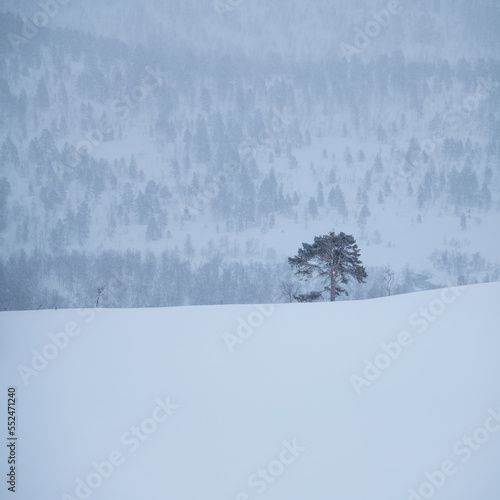 Winter mountain landscape, Senja, Norway photo