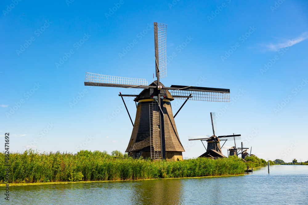 Summer landscape overlooking the windmills in Kinderdijk, UNESCO World Heritage Site, Netherlands