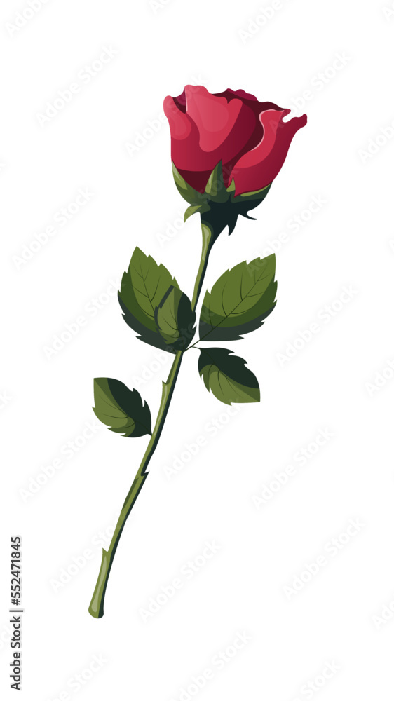 Fototapeta premium Pink rose on the white background. Isolated vector illustration for card, invitation, cover, design projects.