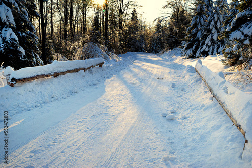 Obraz na płótnie Forest snow-covered country road on a sunny day w salonie