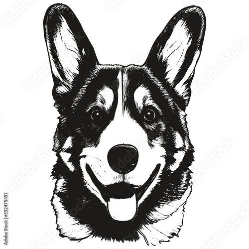 Cute corgi cartoon image, hand drawn vector portrait ,black and white drawing of dog