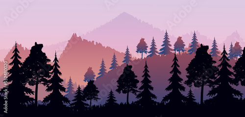 View of beautiful forest in mountains