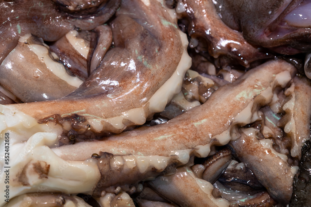 Close-up of the arms of an octopus in the market. Close-up of the arms of an octopus in the market.