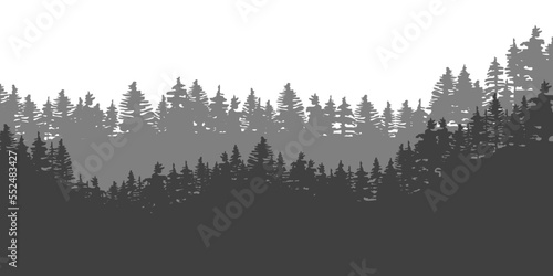 grey night forest. Dark background. Vector illustration. Stock image.  photo
