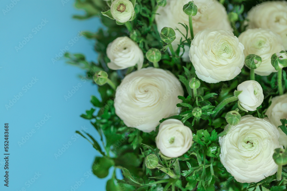 ranunculus flowers border.buttercup flowers background. Floral card in delicate white and blue colors. 