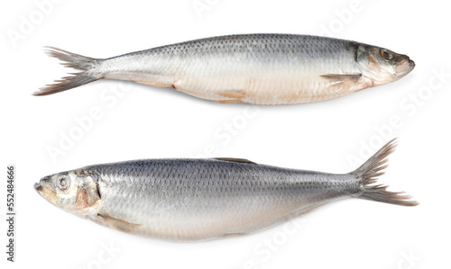 Two tasty salted herrings on white background