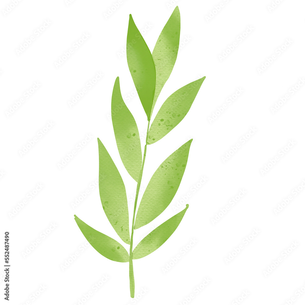Watercolor Leaves Illustration Transparent Watercolor Leaves Illustration Transparent