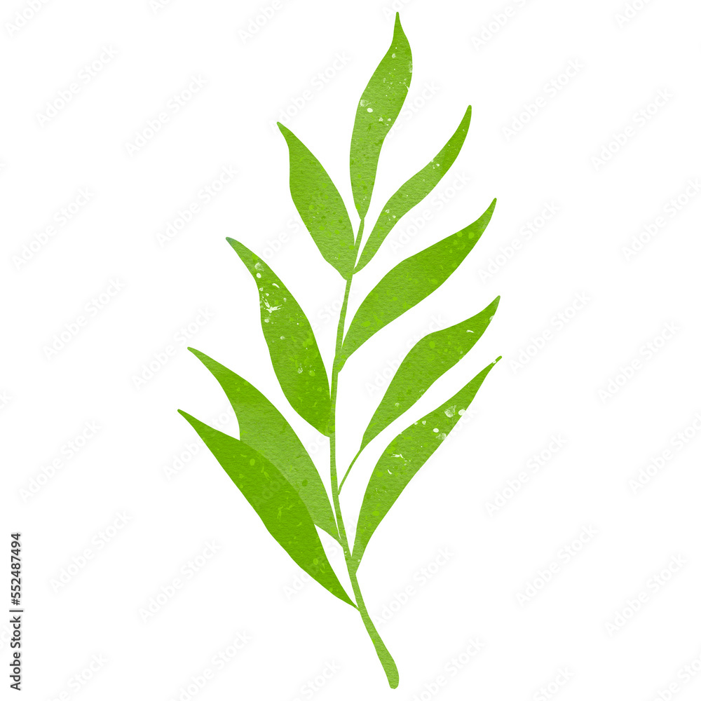 Fototapeta premium Watercolor Leaves Illustration Transparent