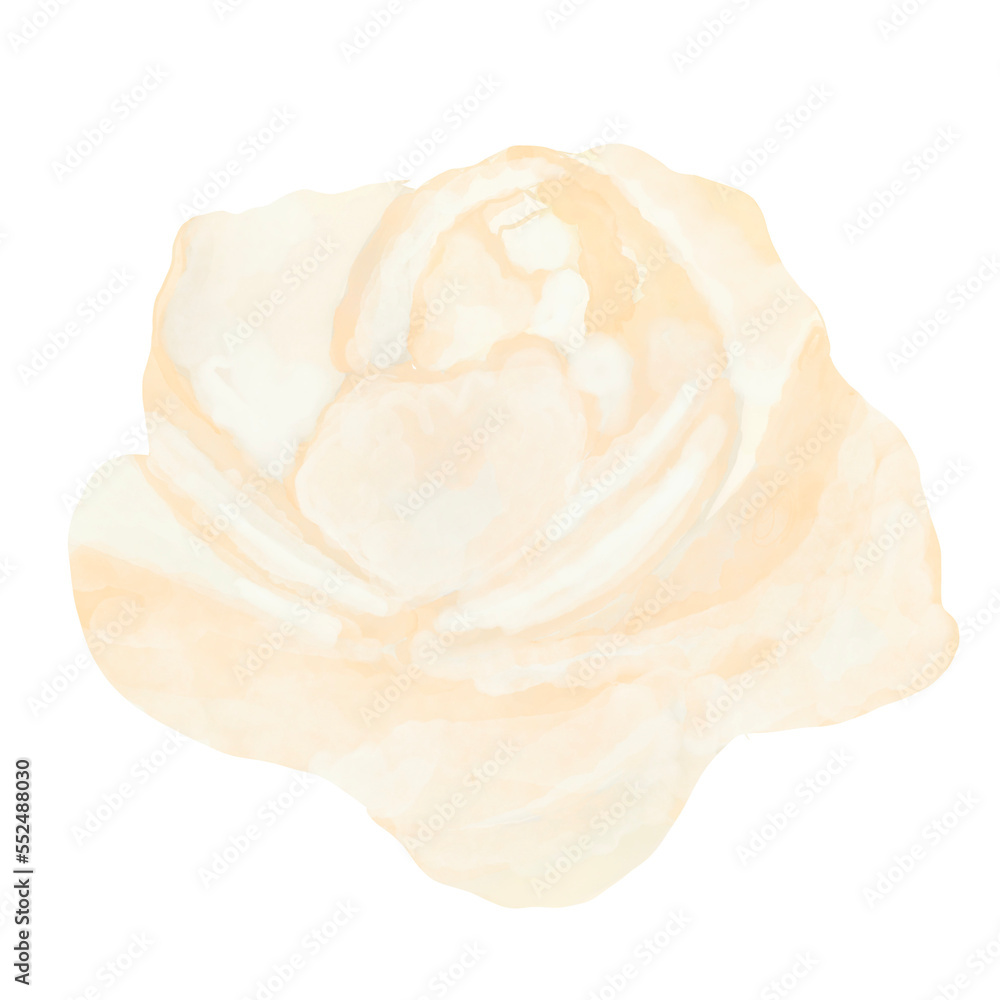 Beautiful Watercolor Flower Illustration Beautiful Watercolor Flower Illustration