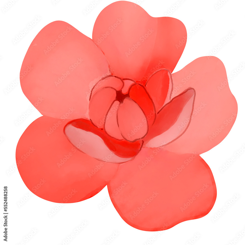 Beautiful Watercolor Flower Illustration Beautiful Watercolor Flower Illustration