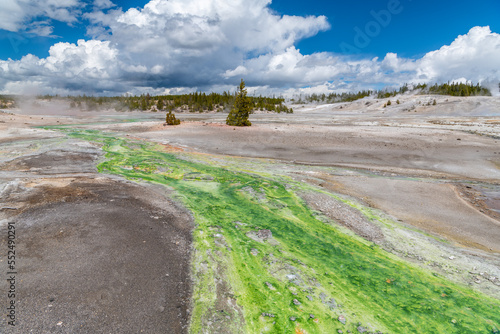 Photos A river runs over a vivid green stream bottom in Norris Geyser Basin