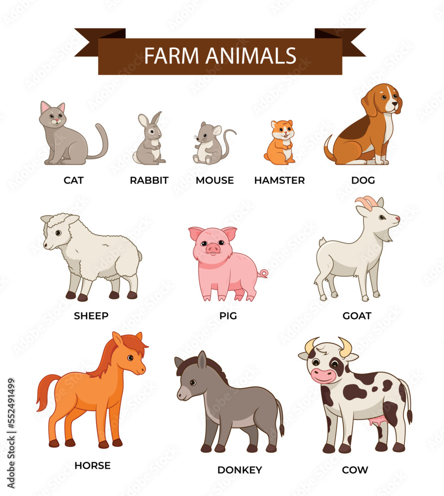 Fototapeta premium Farm animals set. Infographics and graphic elements for website. Cow, horse, pig, goat and sheep. Educational material for children. Cartoon flat vector illustrations isolated on white background